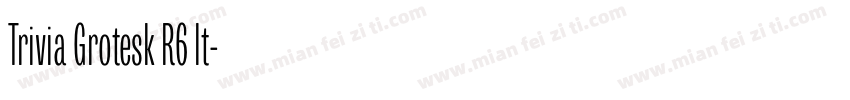 Trivia Grotesk R6 It字体转换